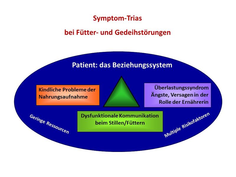 Folie6 Fuetterstoerungen.jpg